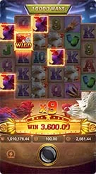 joker11 · Rooster Rbl